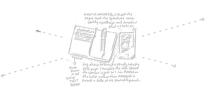 Web Design & Development in pune