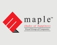 Maple